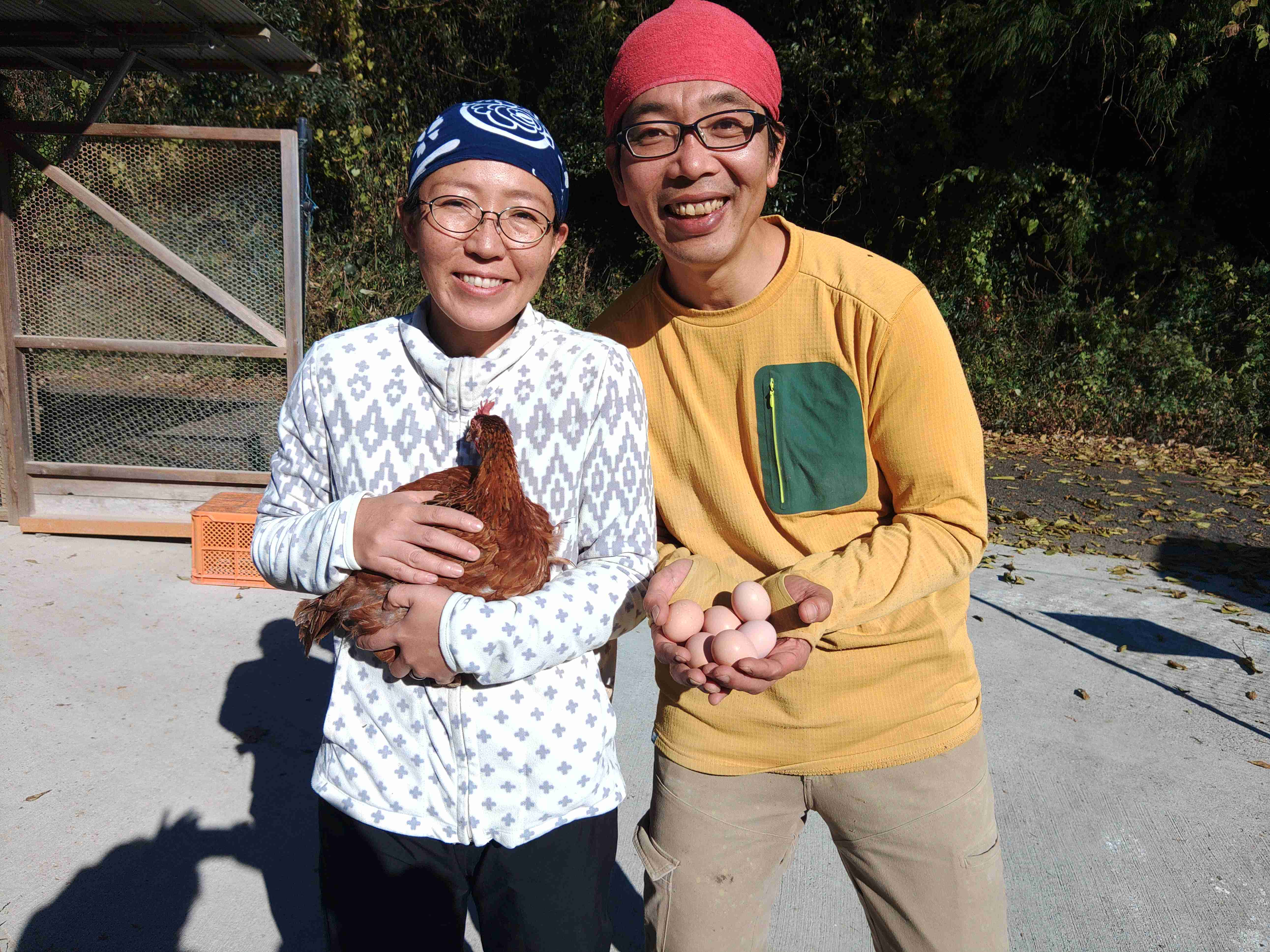 M170ãéŸç¥ã³ãã³ã®å°ããªããŸã10åå
¥ãÃ3ããã¯