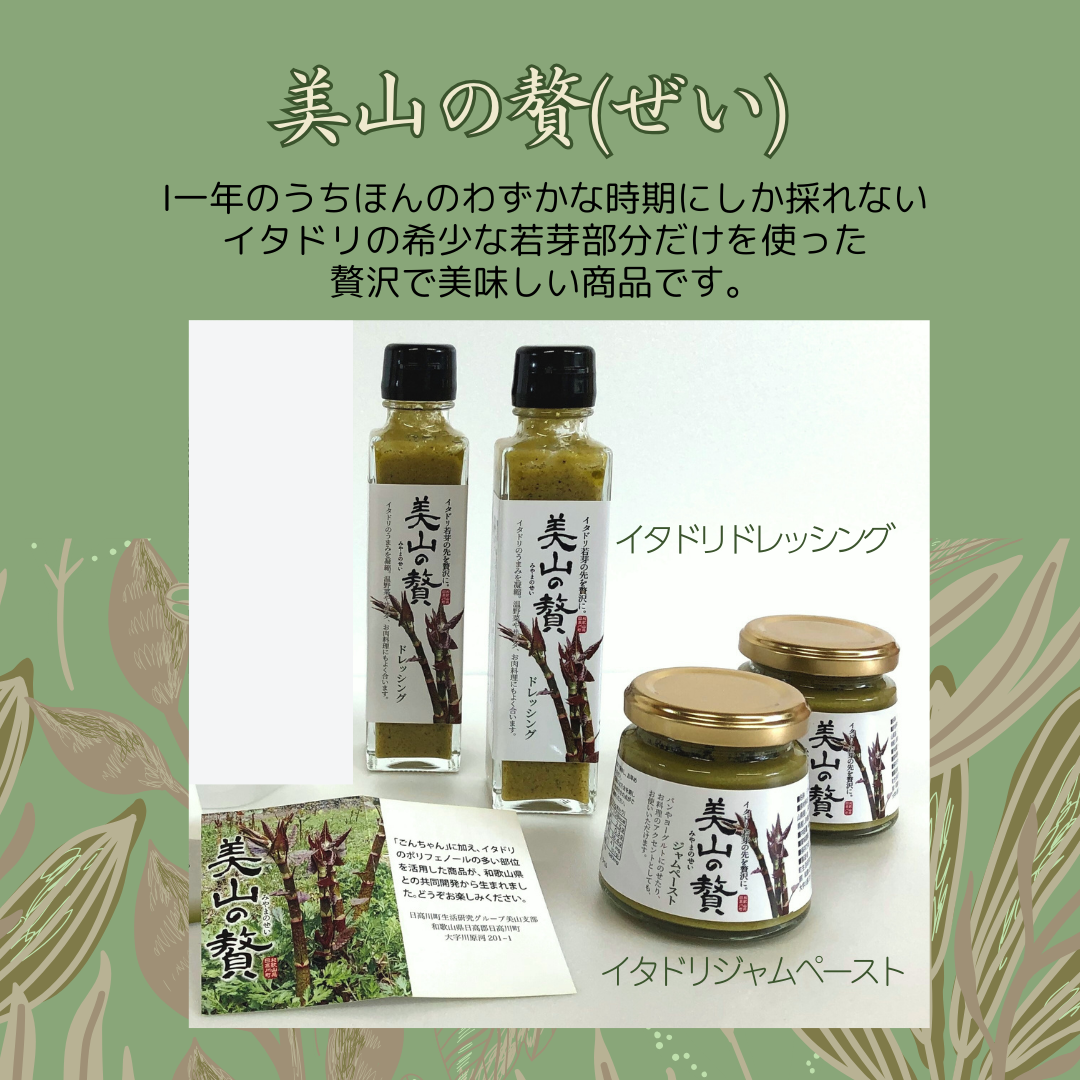 M184　【美山の贅】イタドリのジャムとドレッシングのセット
