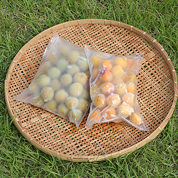 M358　農薬を使用していない南高梅（冷凍梅シロップ用）