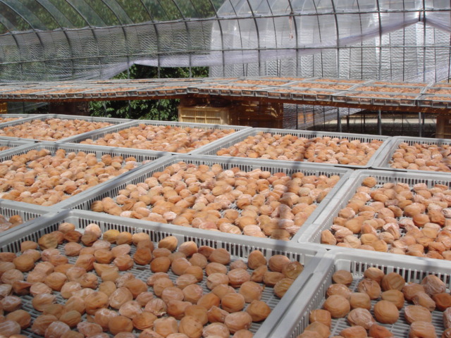 M063　紀州南高梅プレミアム塩分約３％