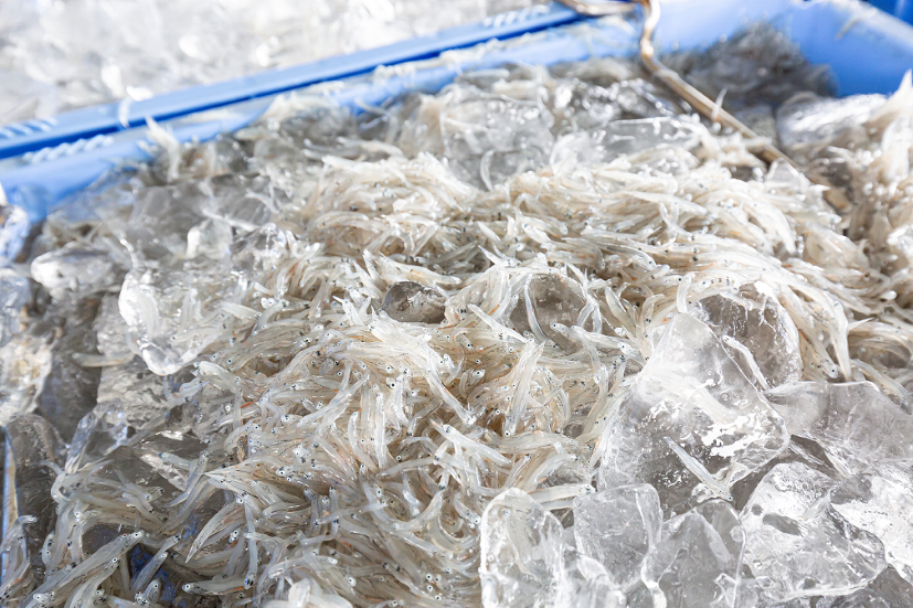 M141縲驥懈恕縺偵@繧峨☆