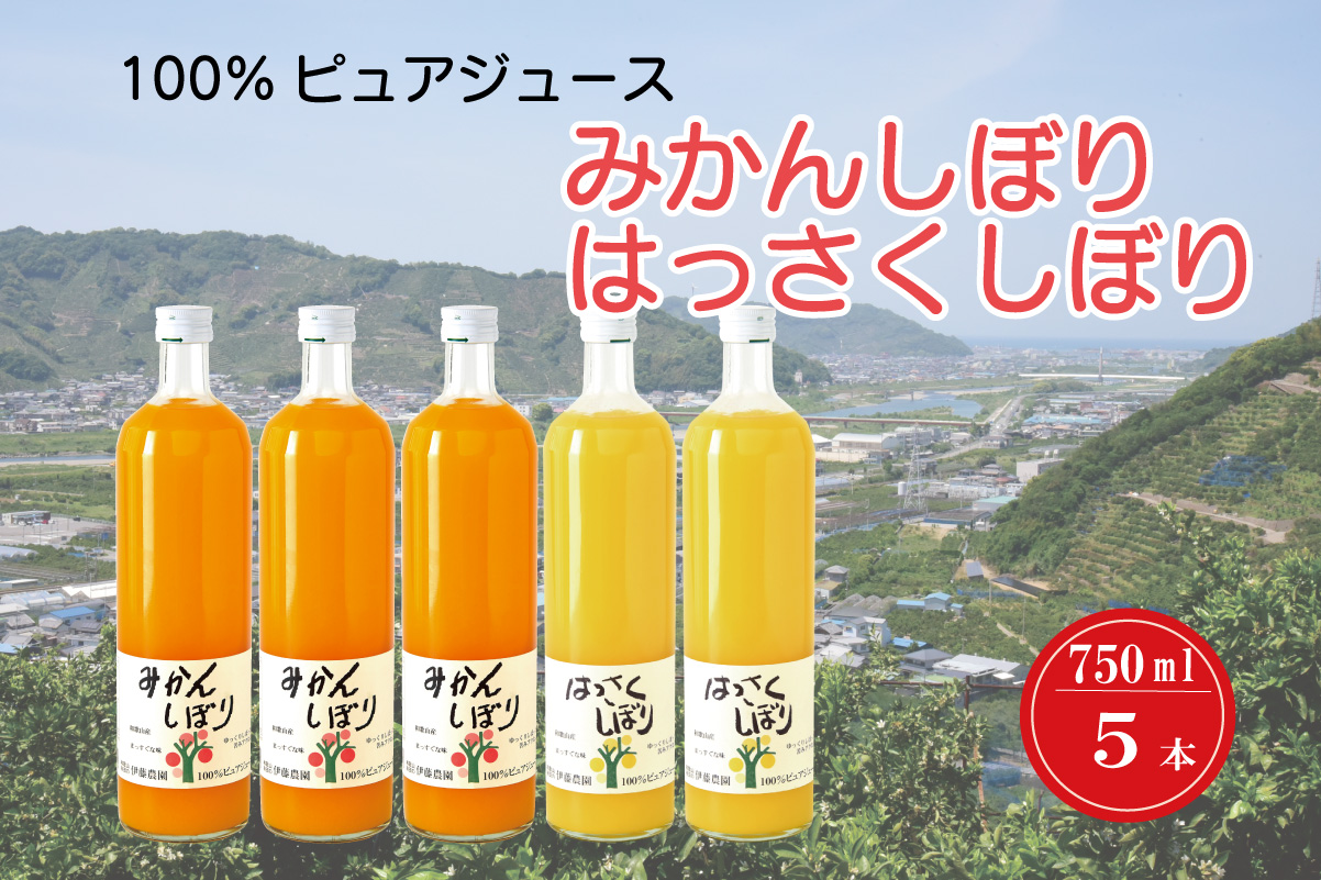 M283縲シ托シ撰シ撰シ繝斐Η繧「繧ク繝・繝シ繧ケ縲シ暦シ包シ撰ス搾ス後シ墓悽蜈・繧