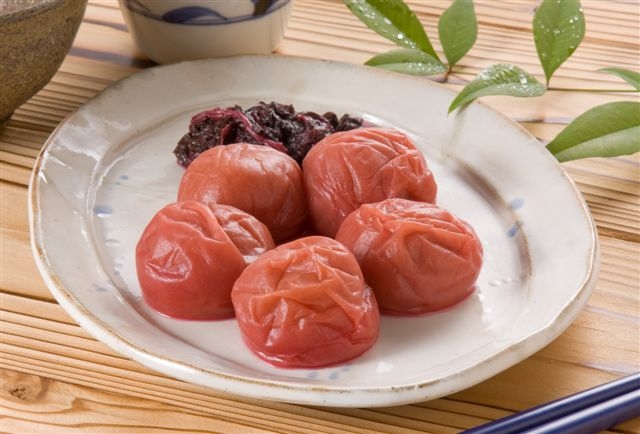 M442　紀州　しそ漬梅　紀和の梅　１ｋｇ×５