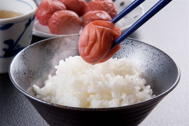 M442　紀州　しそ漬梅　紀和の梅　１ｋｇ×５