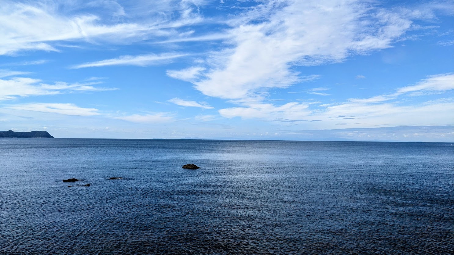 M144　【冷蔵】釜揚げしらす　紀州湯浅　まるとも海産　