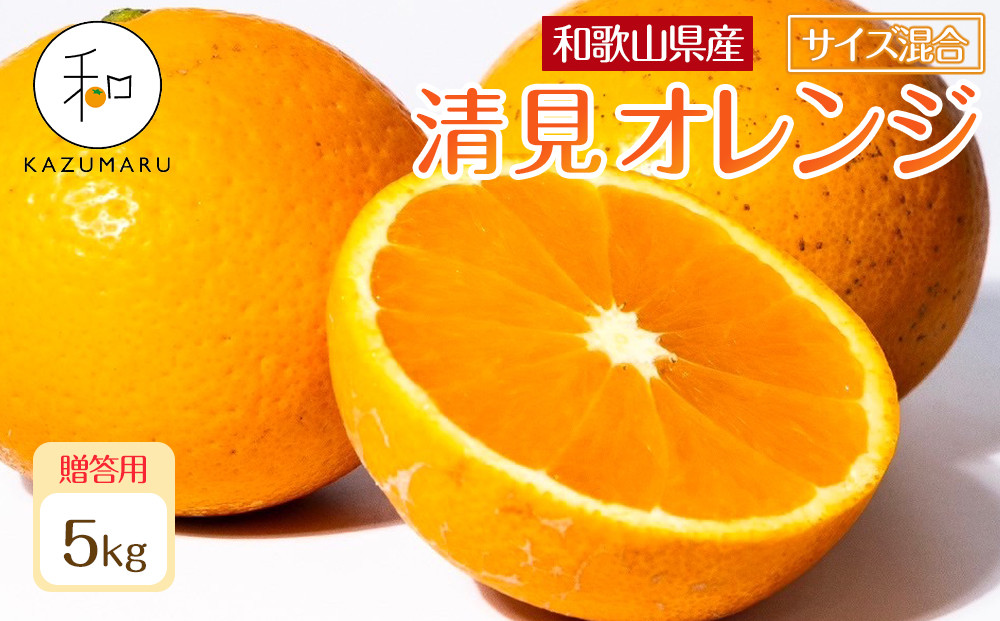 贈答用 森本農園の手選別 厳選清見オレンジ 約5kg 和歌山県産 サイズ混合 ［北海道・沖縄・離島配送不可］［2026年2月上旬から5月中旬頃順次発送予定］［RN89］