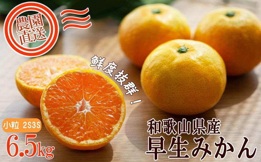 早生みかん 約6.5kg 小粒2S・3S混合 《ご家庭用》 和歌山県産 農園直送 まごころ産直みかん 【北海道・沖縄県・一部離島 配送不可】 ちょっと訳あり 希少 小粒みかん SSサイズ 小玉 わけあり 訳アリ ［Mg55］