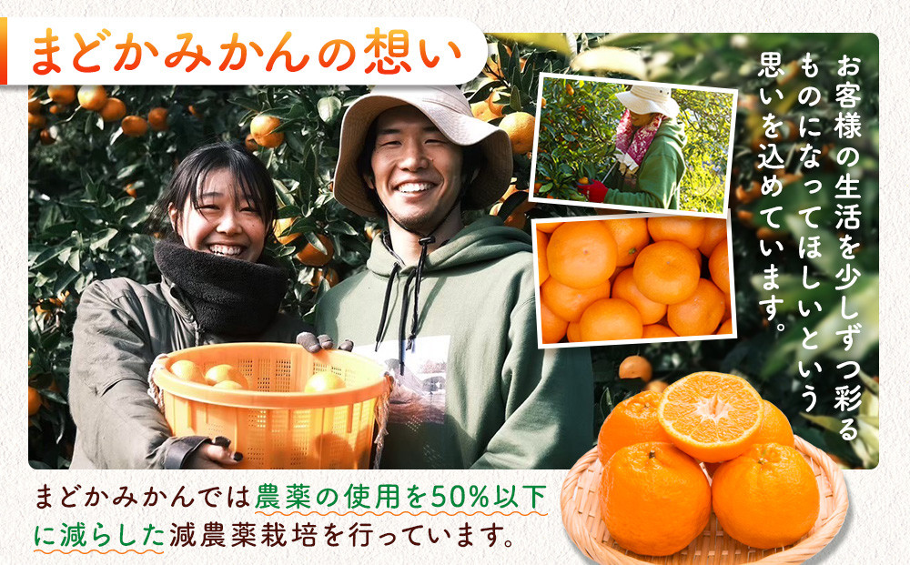［先行予約］［贈答用］冬採れみかん（中生みかん）2L〜3Lサイズ混合 10kg＋500g（傷み補償分）［2026年11月下旬より発送］
