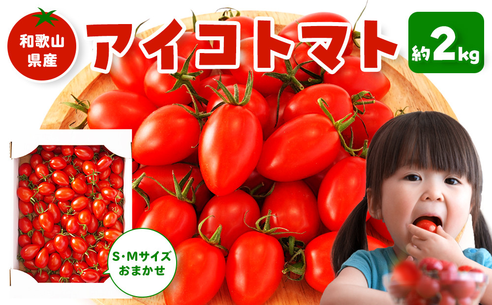 ［3月出荷分］和歌山産ミニトマト「アイコトマト」約2kg（S・Mサイズおまかせ）［TM123］