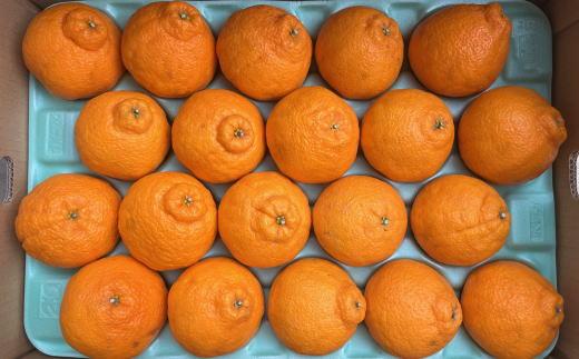 和歌山県産不知火約5kg（18玉～24玉おまかせ）L～3Lサイズ★2027年2月下旬頃より順次発送［TM159］