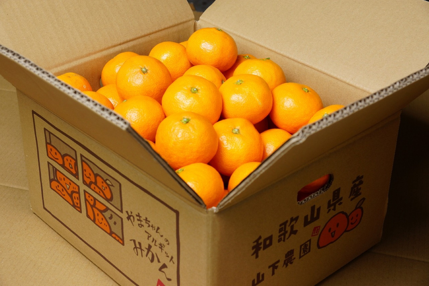 äžæŽ¥èµåºãã¿ãã çŽ5kg SSïœLãµã€ãºãããã å±±äžèŸ²å