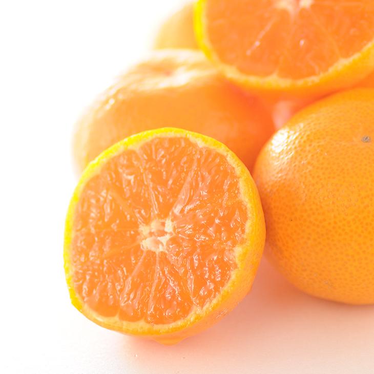 蔵出しみかん3kg SMLサイズお任せ【下津の蔵出しみかん】和歌山県鈴木農園より農園直送！｜蔵出しミカン 蔵出し蜜柑 蔵出しmikan 蔵出し下津みかん 蔵出ししもつみかん 蔵出し 冬眠みかん 贈答 ギフト 貯蔵みかん ミカン 蜜柑　mikan Sサイズ Mサイズ