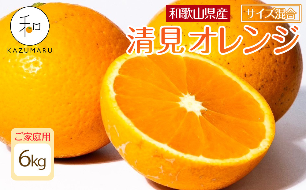 家庭用 森本農園の手選別 清見オレンジ 6kg 和歌山県産 サイズ混合 ［北海道・沖縄・離島配送不可］［RN38］［2026年2月上旬から5月中旬頃順次発送予定］