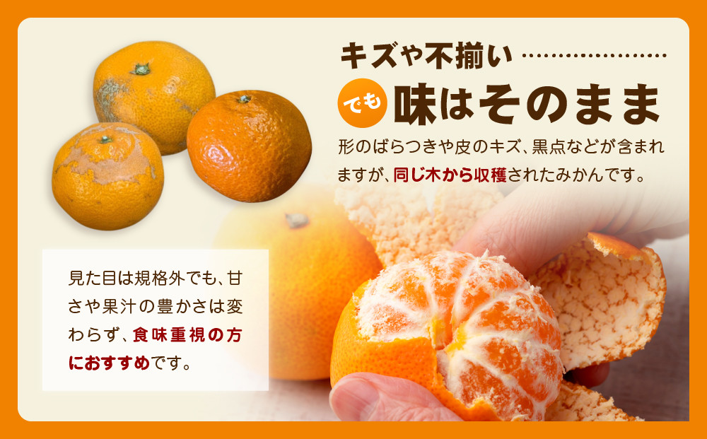 【訳あり】和歌山みかん 約9.5kg+補償分約500g サイズ混合 11月より順次発送 訳ありみかん 【red1】