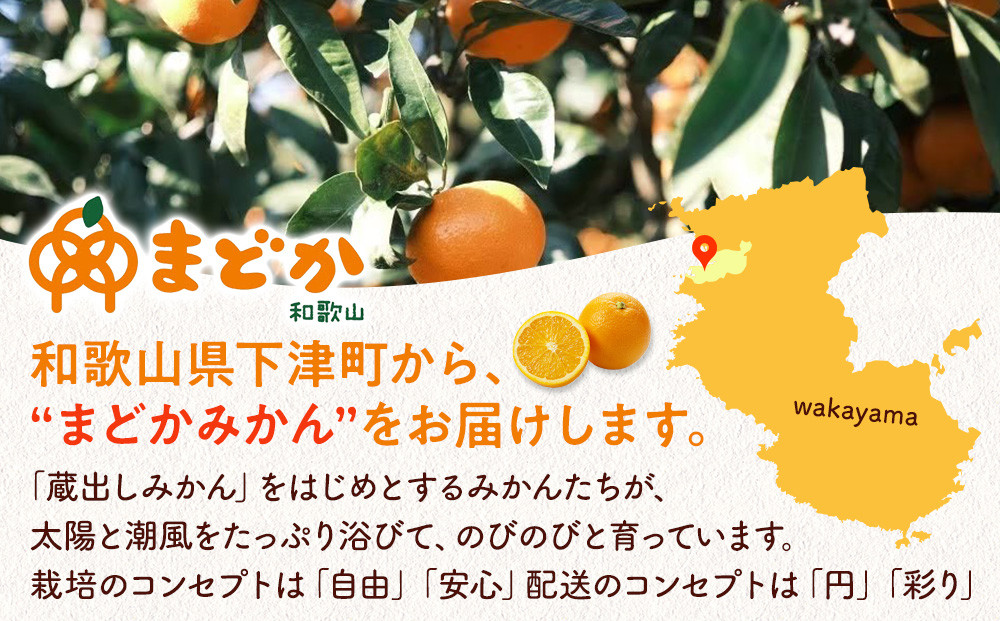 ［先行予約］［贈答用］冬採れみかん（中生みかん）2L〜3Lサイズ混合 10kg＋500g（傷み補償分）［2026年11月下旬より発送］