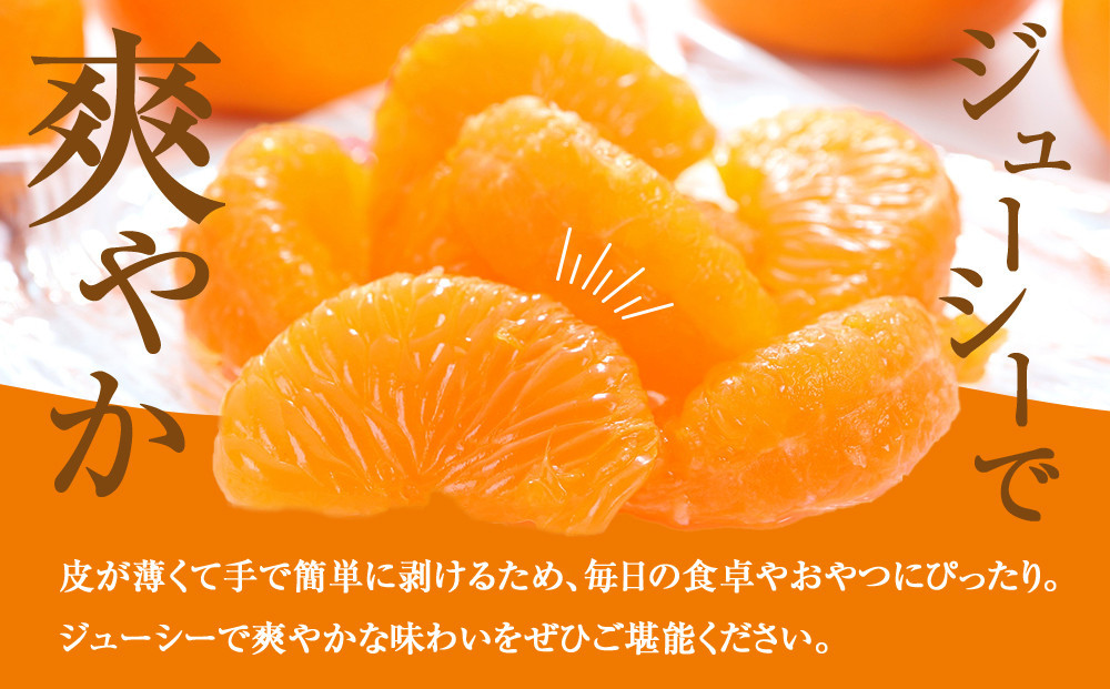 訳あり 蔵出しみかん 約10kg 2S～2Lサイズ混合