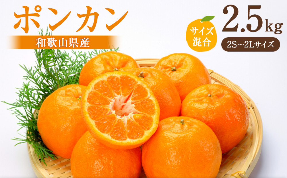 ポンカン 約2.5kg サイズ混合［2027年1月下旬頃より順次発送予定］