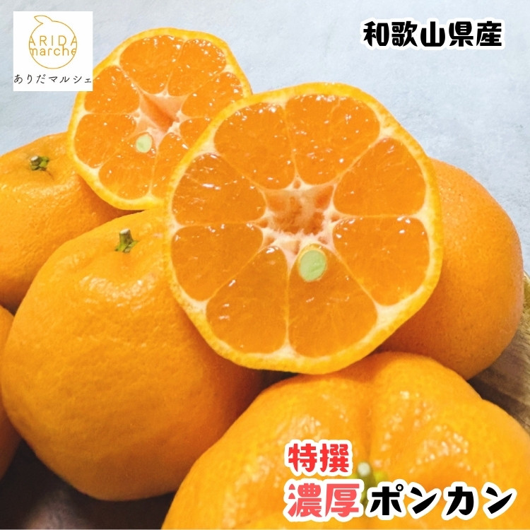 ［先行予約］極甘 柑橘 特選 濃厚 ポンカン 3kg［MS49］