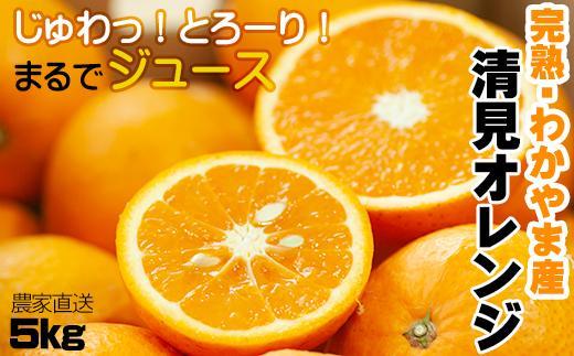 清見オレンジ【訳あり】5kg 混合 和歌山県海南市鈴木農園 清見 きよみ 清見タンゴール わけあり 訳アリ