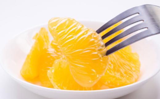 ［産直］和歌山由良町産の木成り熟成八朔約10kg（S～Lサイズをお届け）★2027年3月中旬頃より順次発送［TM135］