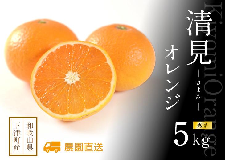 赤秀 清見オレンジ 5kg 3月中旬から4月下旬に和歌山県海南市まごころ産直みかんより直送［Mg62］