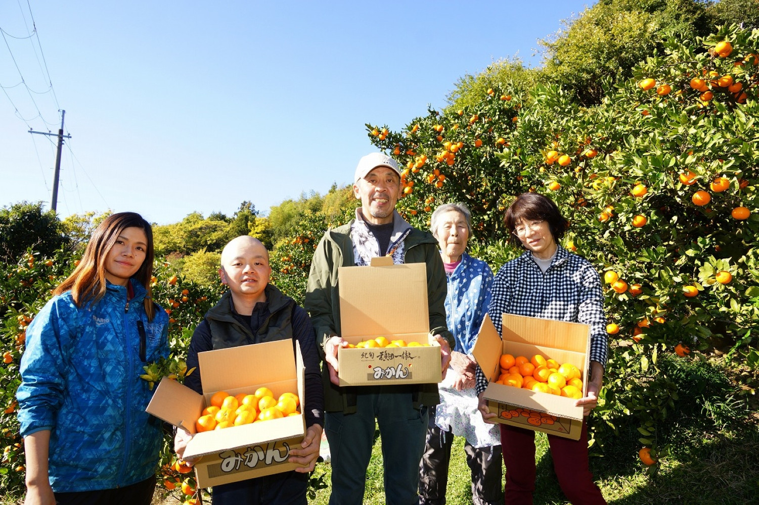 äžæŽ¥èµåºãã¿ãã çŽ5kg SSïœLãµã€ãºãããã å±±äžèŸ²å