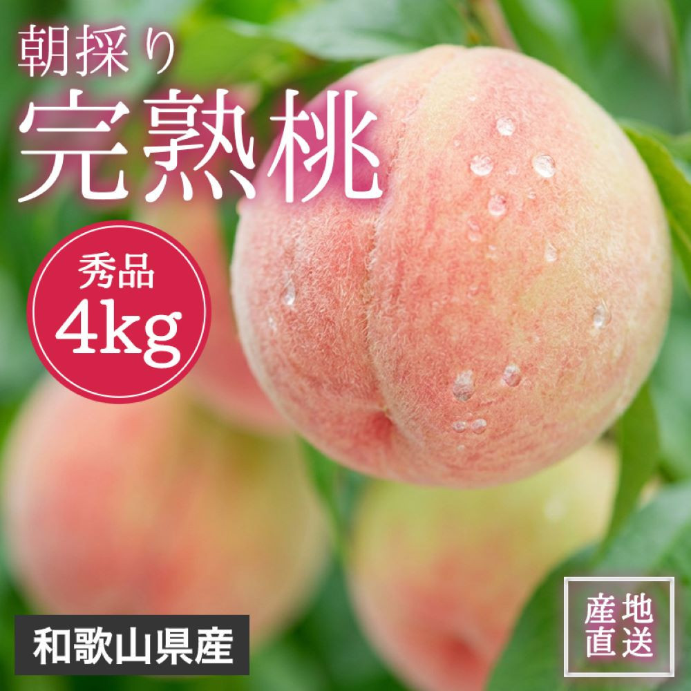 贈答用 森本農園の手選別 桃 4kg
