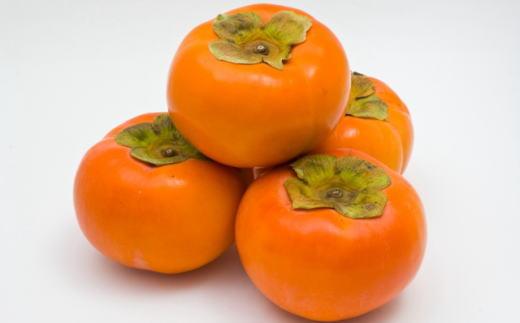 [逕俶涸縺ョ邇区ァ肋蜥梧ュ悟アア逕」蟇梧怏譟ソ邏3.5kg繧オ繧、繧コ豺キ蜷遺 2026蟷エ10譛井ク区流鬆繧医j鬆谺。逋コ騾シサTM4シス