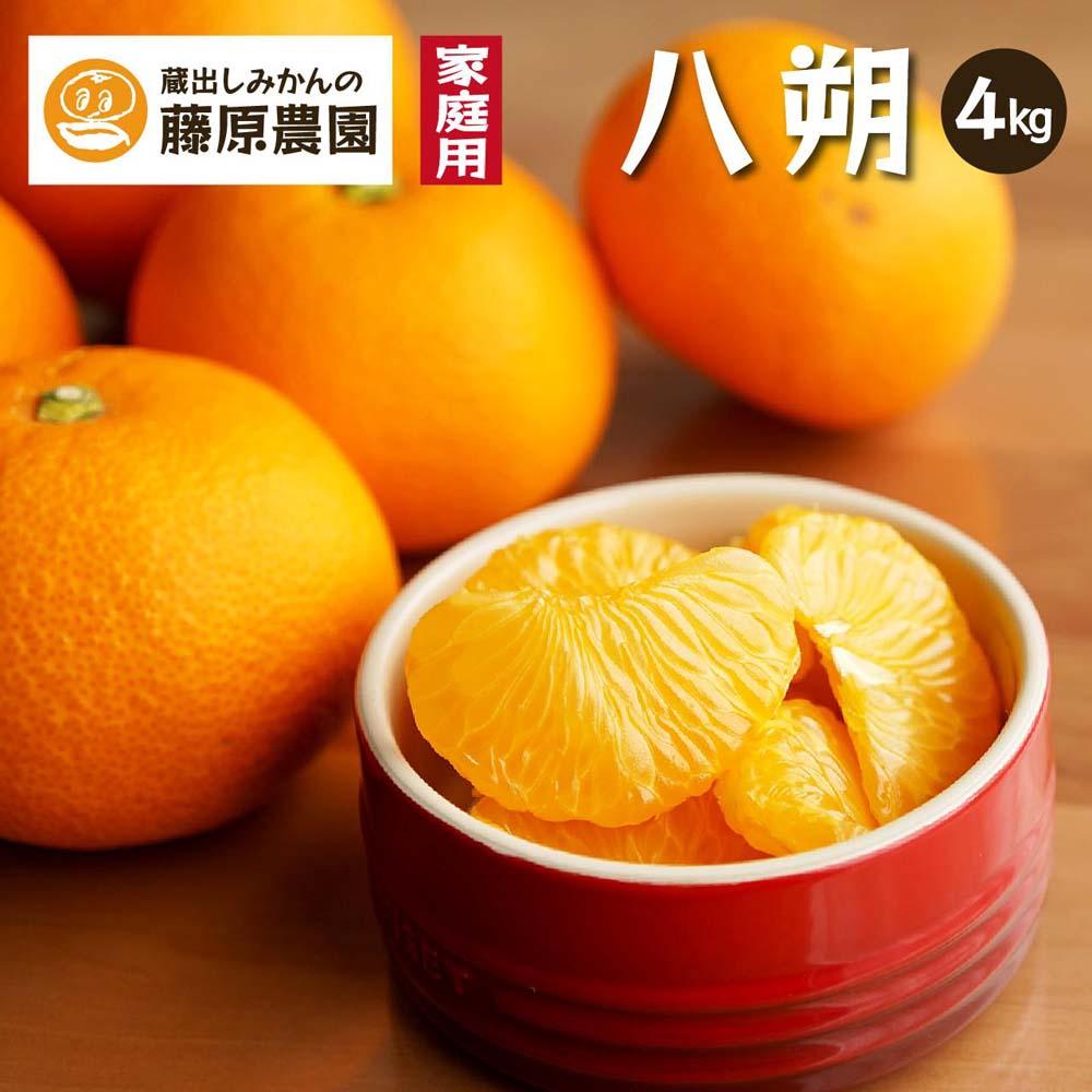 八朔｜和歌山県海南市から産地直送でお届け｜4kg｜ご家庭用【2026年4月より発送開始】