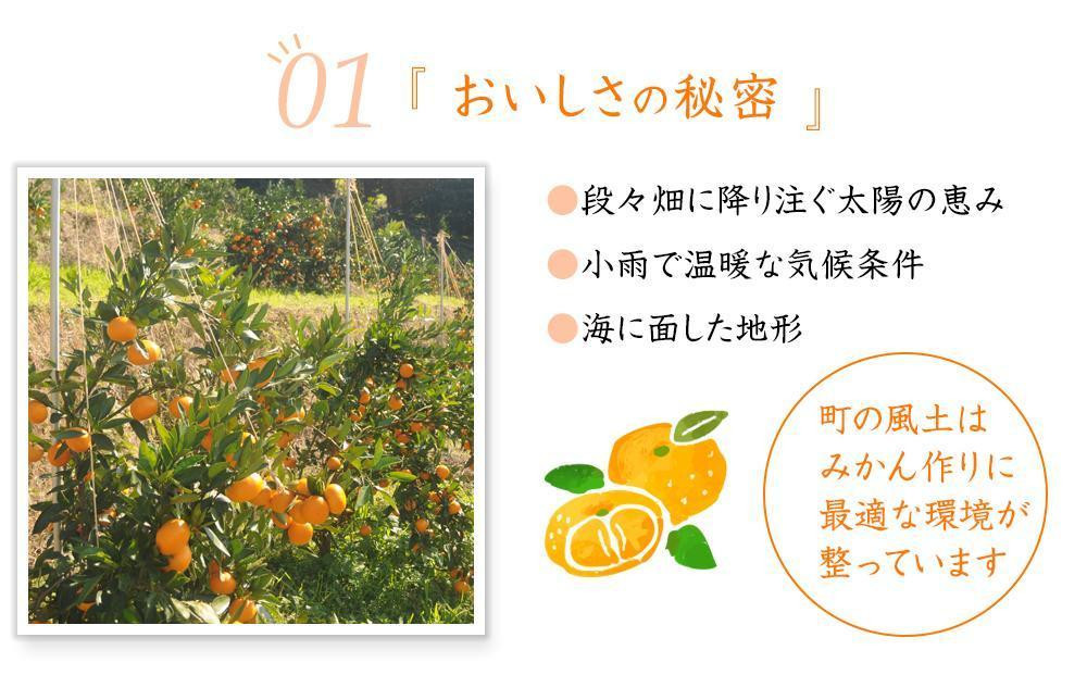 極早生みかん 約7.5kg 大小混合《ご家庭用》 ちょっと訳あり 和歌山県産 農園直送 まごころ産直みかん 【北海道・沖縄県・一部離島 配送不可】 下津の極早生みかん 和歌山の極早生みかん ミカン みかん Mikan 蜜柑 温州みかん わけあり 訳アリ［Mg37］