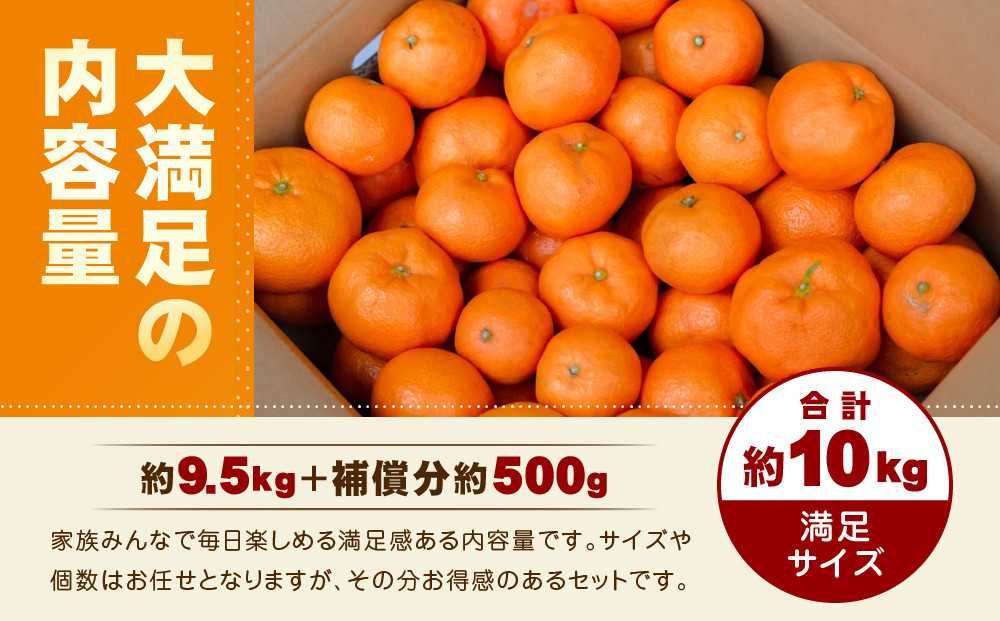 【訳あり】和歌山みかん 約9.5kg+補償分約500g サイズ混合 11月より順次発送 訳ありみかん 【red1】
