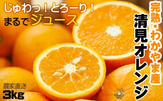 清見オレンジ 3kg【和歌山の清見オレンジ】3月下旬から4月下旬に和歌山県鈴木農園より農園直送 清美 清見 きよみ キヨミ 清美オレンジ きよみオレンジ キヨミオレンジ 清見タンゴール※北海道・沖縄県・一部離島 配送不可