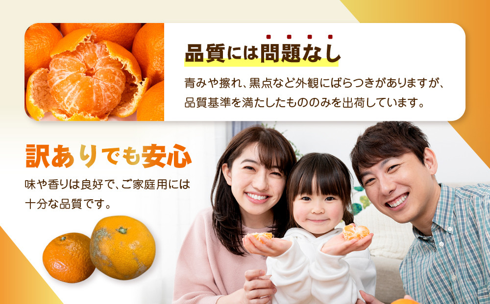 【訳あり】和歌山みかん 約9.5kg+補償分約500g サイズ混合 11月より順次発送 訳ありみかん 【red1】