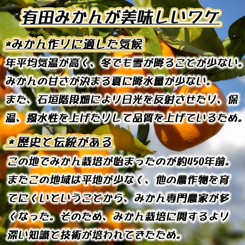 有田みかん［特秀品Ｍ～Ｌ、高糖度］約10kg！2026年10月上旬～12月下旬順次発送［NGT4］
