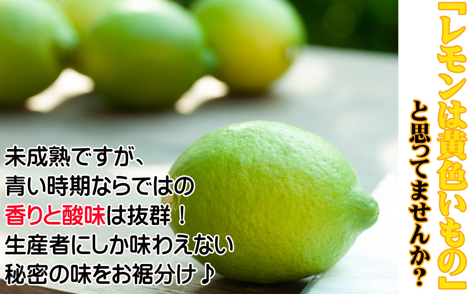 ã¬ã¢ã³ çŽ5kg 倧尿··åãµã€ãº ã¡ãã£ãšèš³ãã 11æïœ2æã«éŽæšã¿ãã蟲åãã蟲åçŽéïŒ éãã¬ã¢ã³ é»è²ãã¬ã¢ã³ â»åæµ·éã»æ²çžã»é¢å³¶ãžã®é
éäžå¯