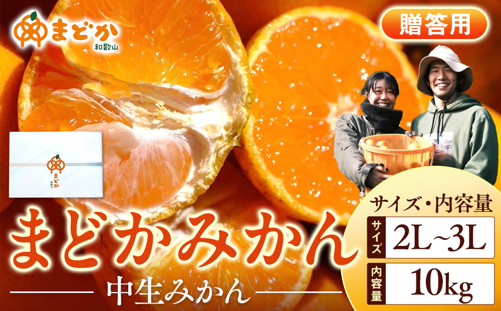 ［先行予約］［贈答用］冬採れみかん（中生みかん）2L〜3Lサイズ混合 10kg＋500g（傷み補償分）［2026年11月下旬より発送］