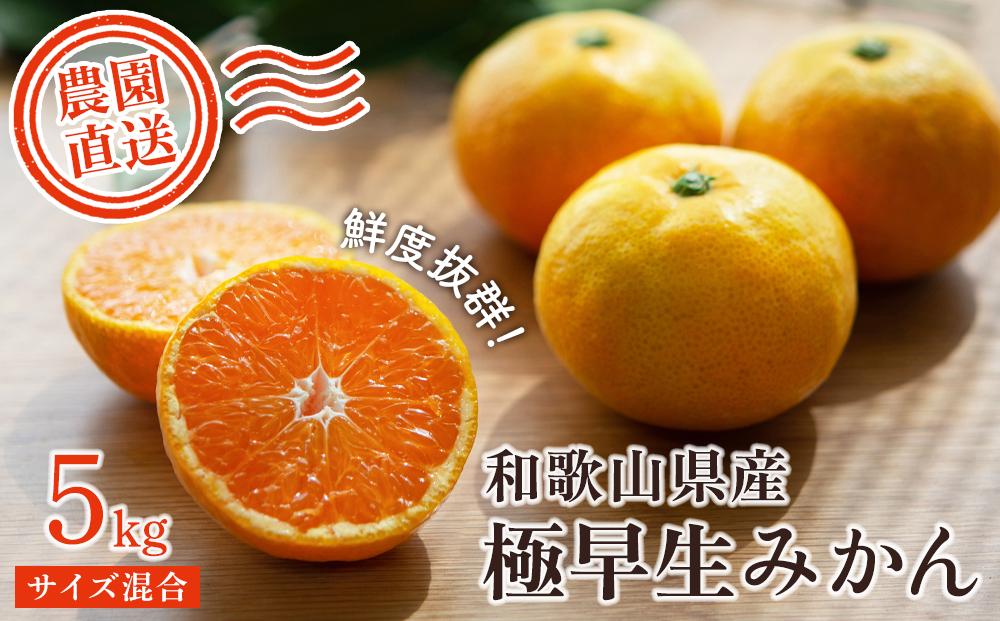 【極早生みかん】5kg 混合サイズ（和歌山県海南市下津町産）農園直送【訳あり】［Mg18］
