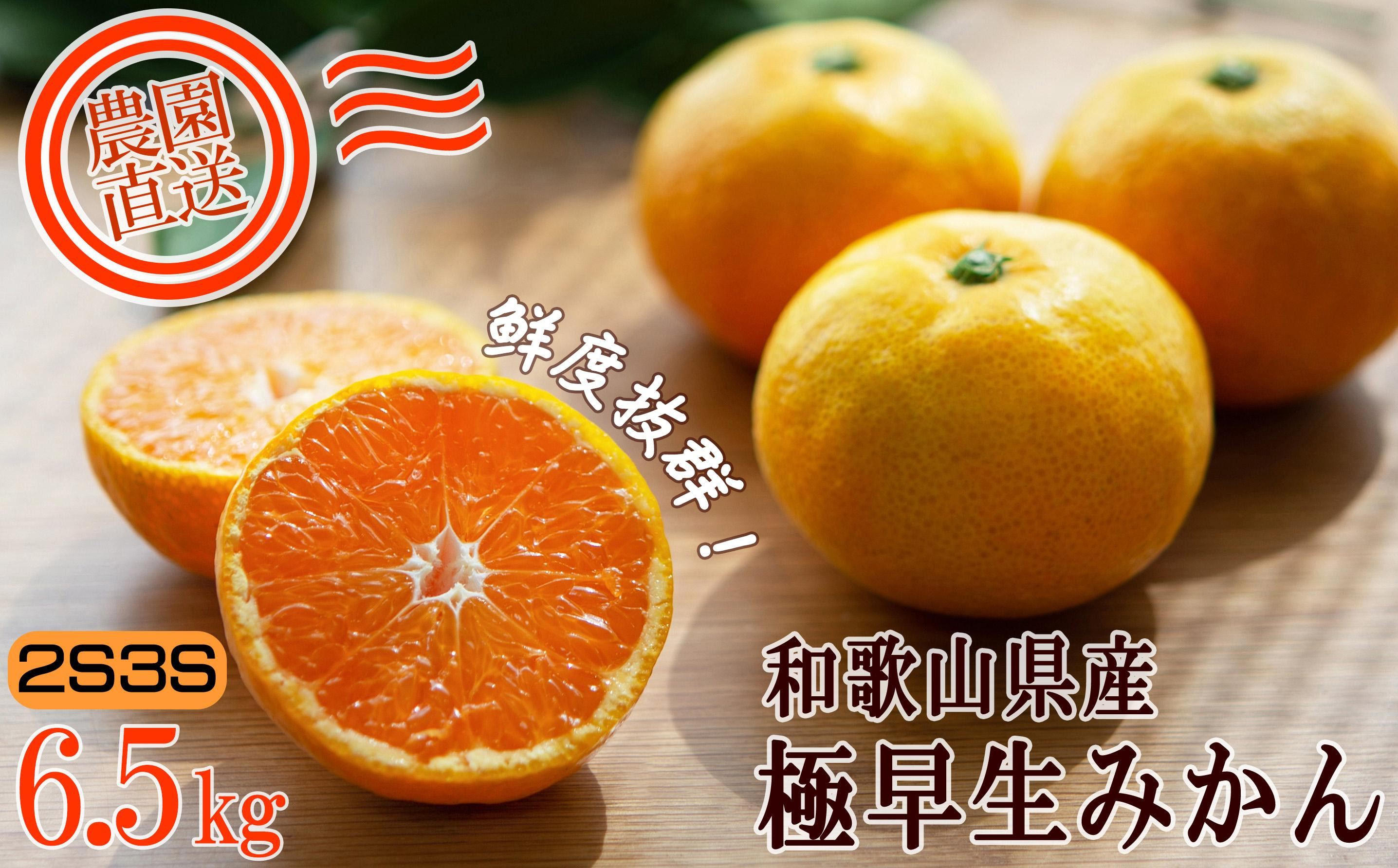 小粒みかん 約6.5kg 2S3Sサイズ 訳あり 和歌山県産 農園直送 まごころ産直みかん 【10月～11月頃発送】 【北海道・沖縄県・一部離島 配送不可】下津 極早生みかん［Mg40］