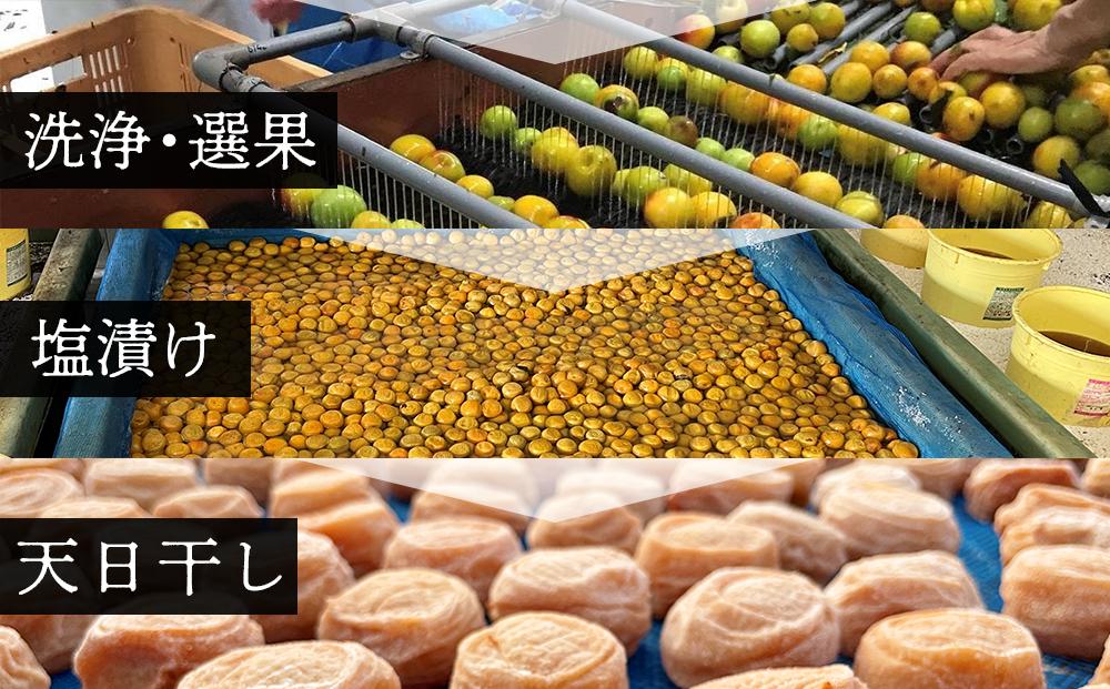 紀州南高梅使用 はちみつ うす塩味 完熟梅干し 無選別 1kg［TM144］