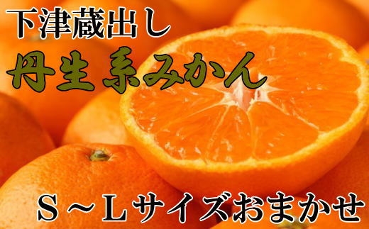［高糖系］下津蔵出し丹生系みかん約5kg（S～Lサイズおまかせ）★2027年2月下旬頃より順次発送