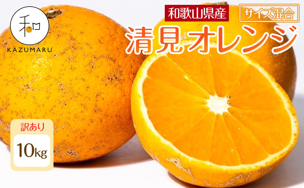 訳あり 森本農園の手選別 清見オレンジ 約10kg 和歌山県産 サイズ混合 ［北海道・沖縄・離島配送不可］［RN49］［2026年2月上旬から5月中旬頃順次発送予定］