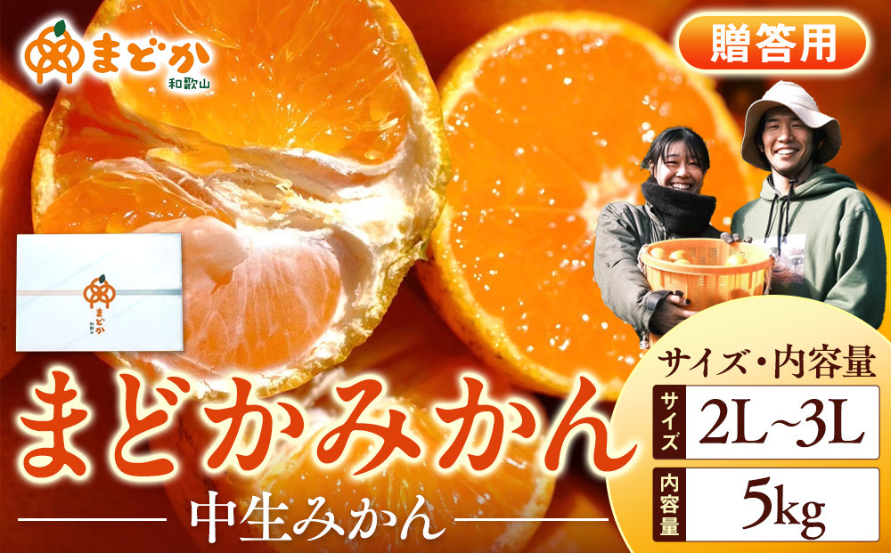［先行予約］［贈答用］冬採れみかん（中生みかん）2L〜3Lサイズ混合 5kg＋300g（傷み補償分）［2026年11月下旬より発送］