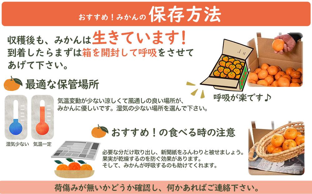 蔵出しみかん5kg大小混合サイズ 訳あり【下津の蔵出しみかん】1月から2月発送で昔ながらのみかん鈴木農園より産地直送｜家庭用 訳ありみかん ｜1月以降が旬の酸味もおいしい蔵出しみかん ※北海道・沖縄・離島への配送不可