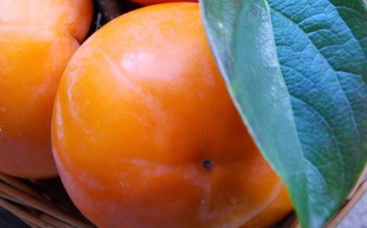 [逕俶涸縺ョ邇区ァ肋蜥梧ュ悟アア逕」蟇梧怏譟ソ邏3.5kg繧オ繧、繧コ豺キ蜷遺 2026蟷エ10譛井ク区流鬆繧医j鬆谺。逋コ騾シサTM4シス