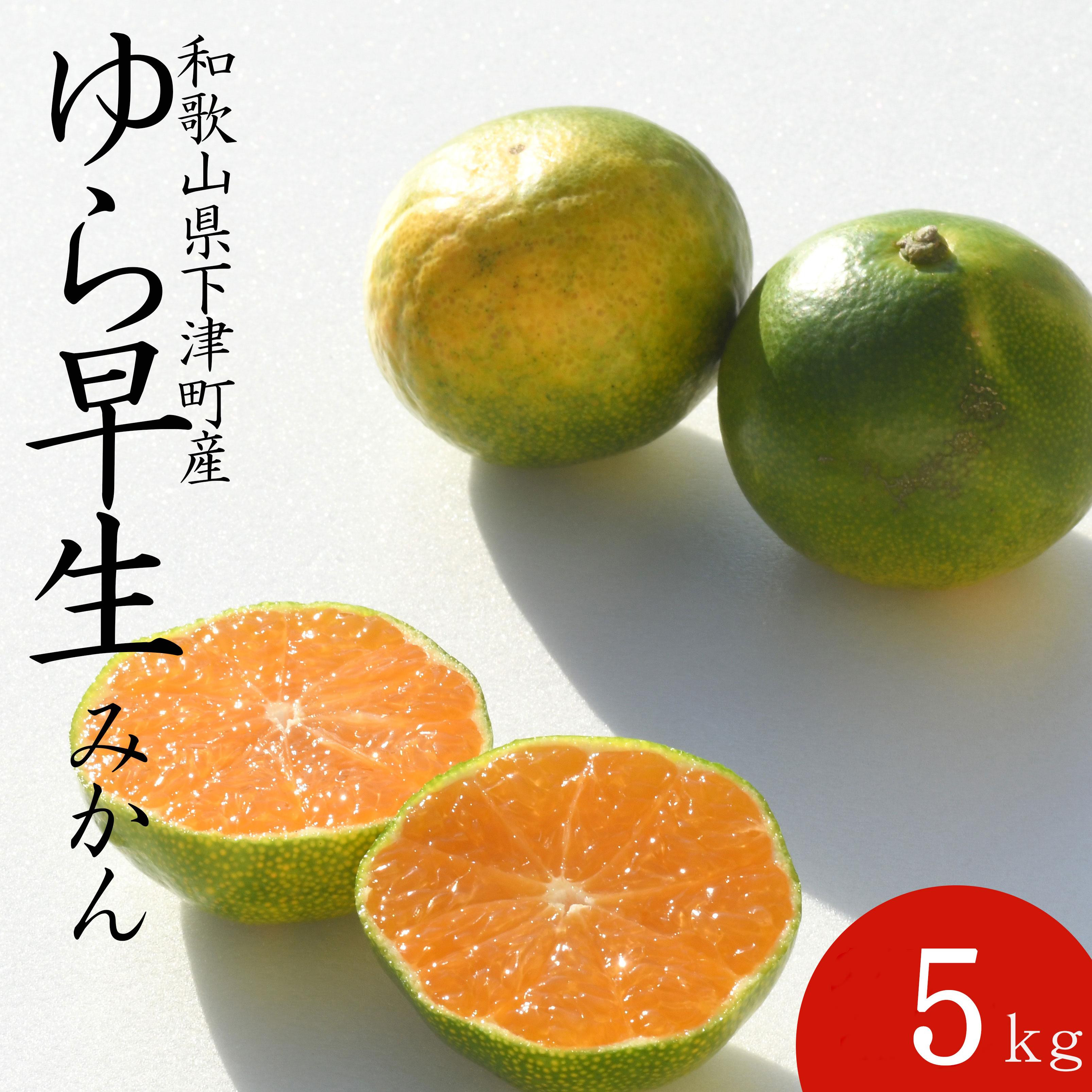 【極早生みかん】ゆら早生みかん 5kg 小粒サイズ（2S・3S） 和歌山県海南市産 産地直送【訳あり】  ［Mg24］