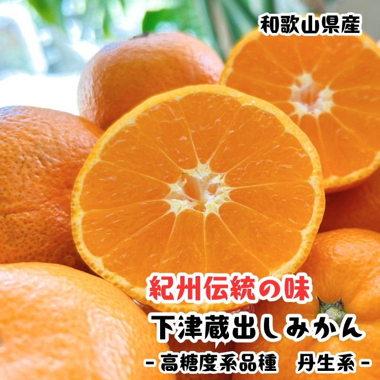 ［紀州伝統の味］下津蔵出し みかん（高糖系品種 丹生系） 5kg  ［S～L混合サイズ］［先行予約］