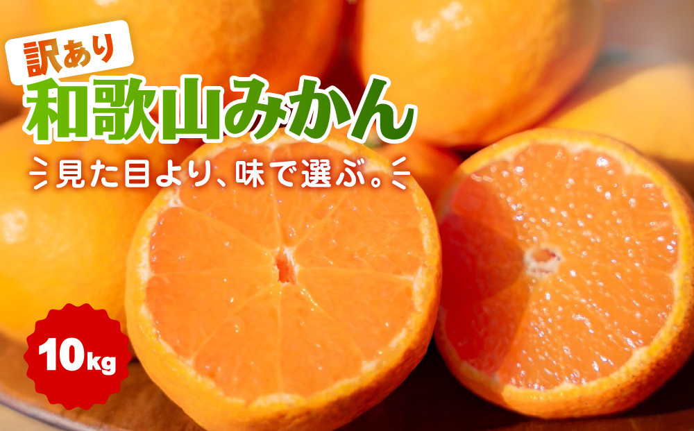 【訳あり】和歌山みかん 約9.5kg+補償分約500g サイズ混合 11月より順次発送 訳ありみかん 【red1】