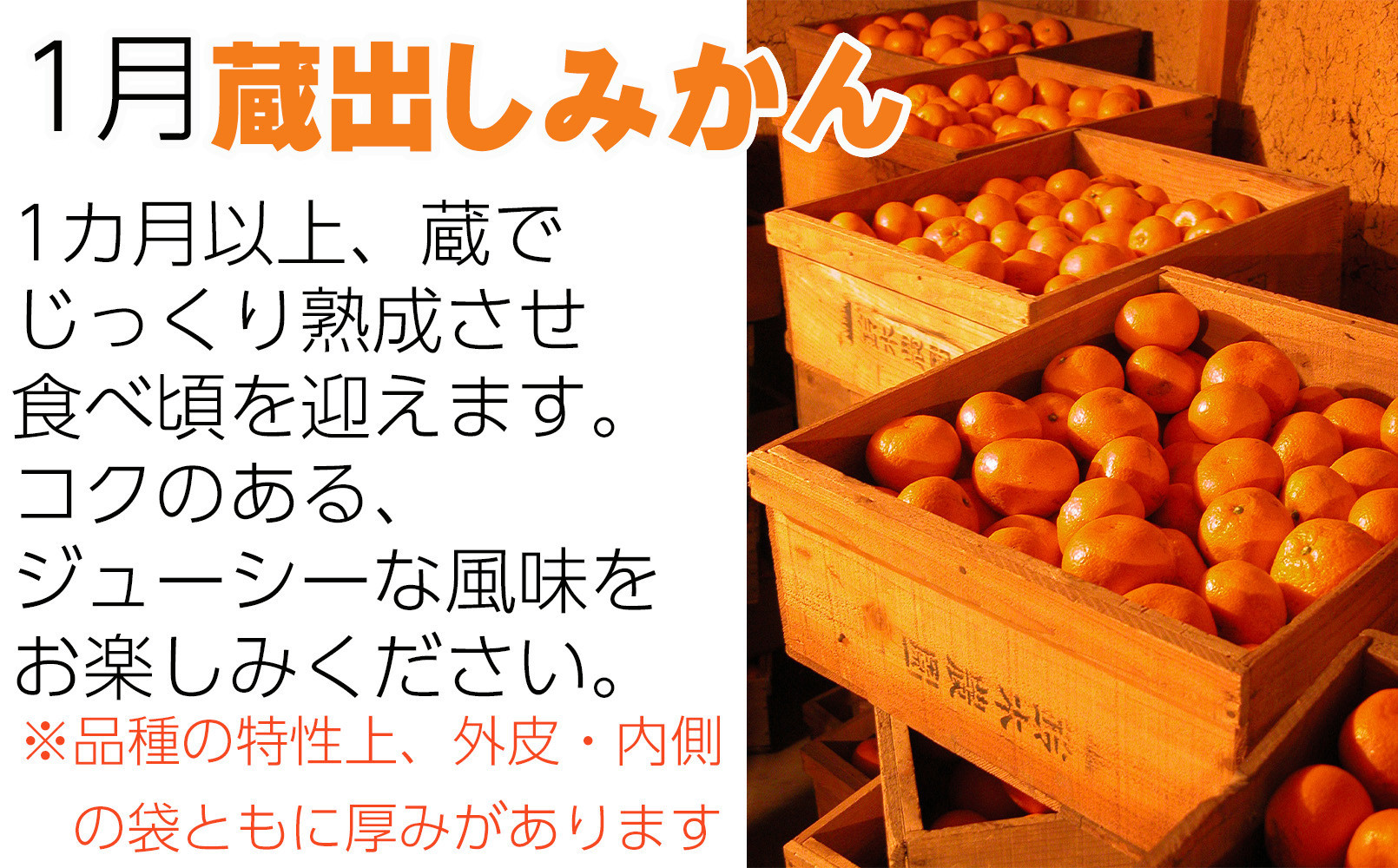 ［定期便 全8回］和歌山県鈴木農園産 旬のフルーツ定期便