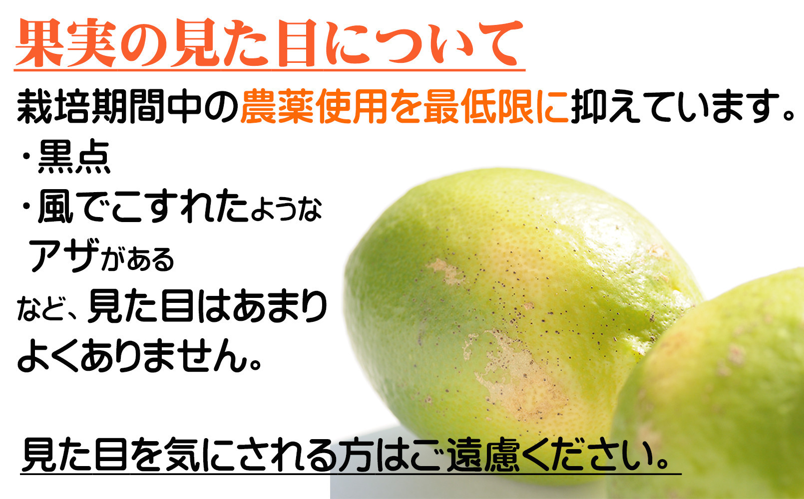 ã¬ã¢ã³ çŽ3kg 倧尿··åãµã€ãº 11æïœ2æã«éŽæšã¿ãã蟲åãã蟲åçŽéïŒ éãã¬ã¢ã³ é»è²ãã¬ã¢ã³ â»åæµ·éã»æ²çžã»é¢å³¶ãžã®é
éäžå¯