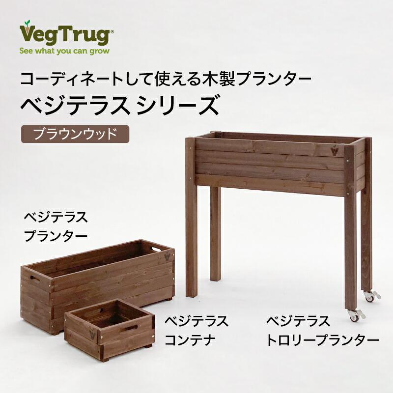 58391100 繝吶ず繝繝ゥ繧ケ繝励Λ繝ウ繧ソ繝シ 繝悶Λ繧ヲ繝ウ繧ヲ繝繝
